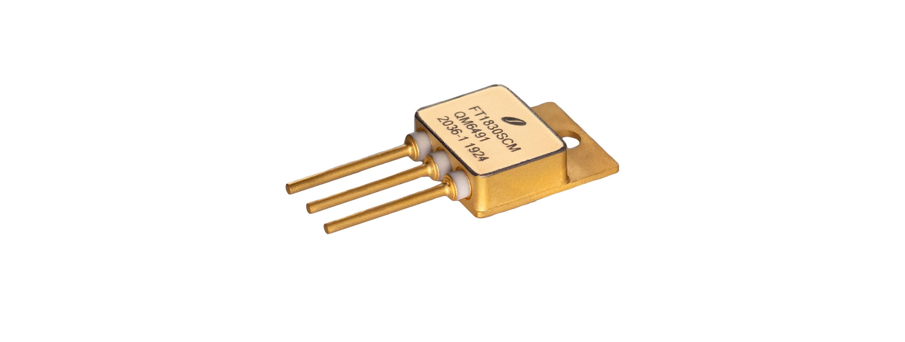 Force Technologies FT1830 SRAM chip