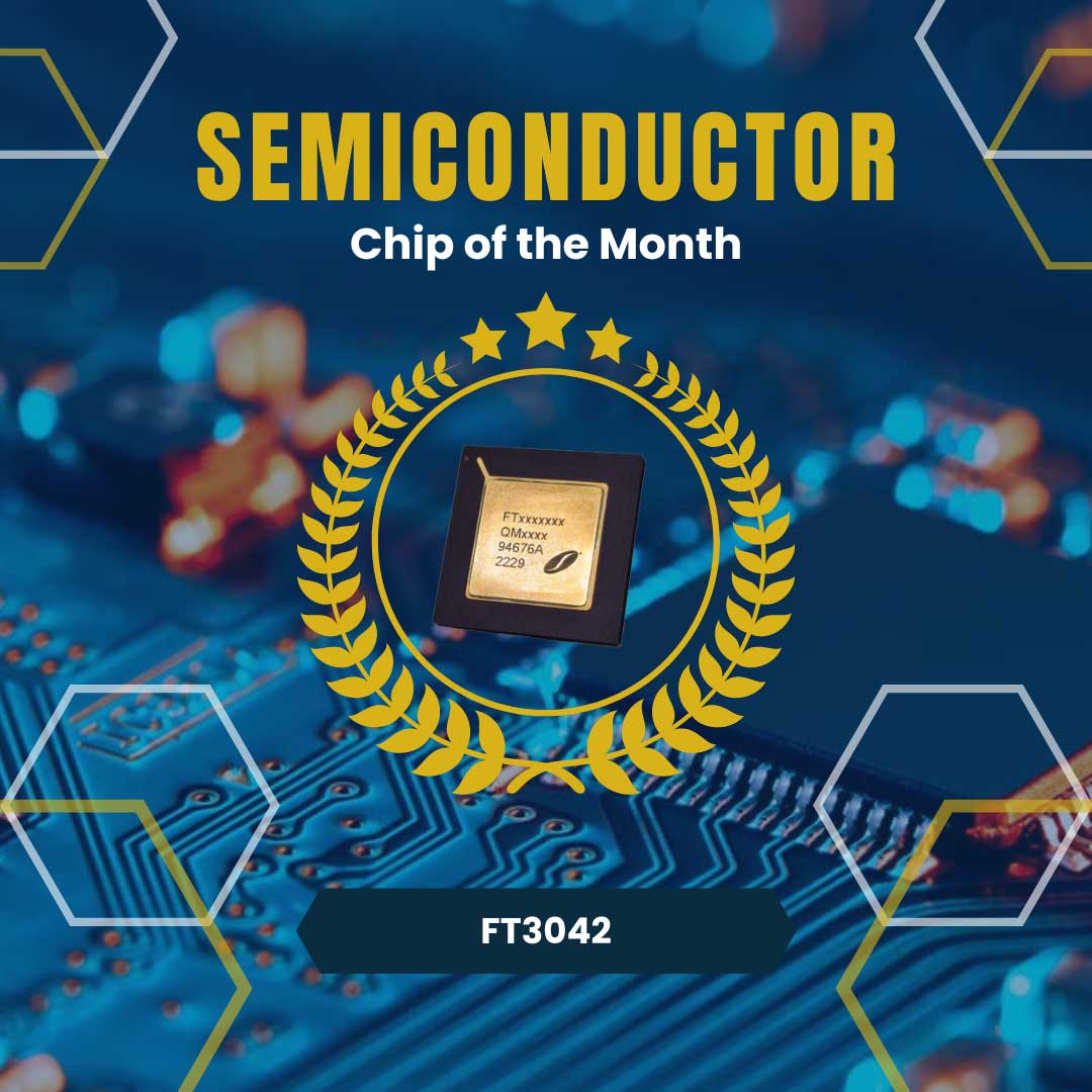 Chip of the Month –